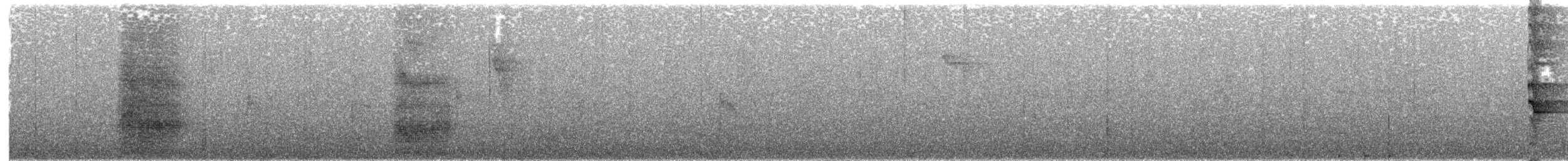 Méliphage toulou - ML203888651