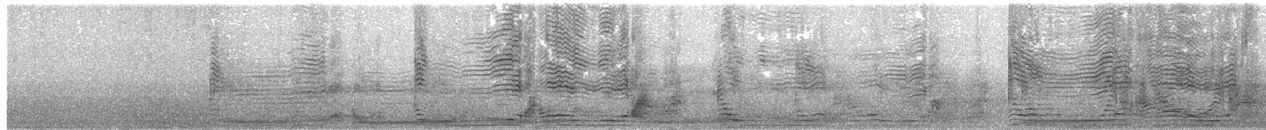 Буревісник cередземноморський (підвид diomedea) - ML203889001
