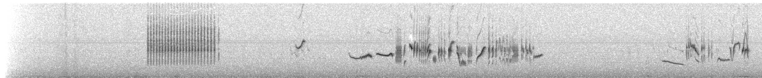 Spectacled Warbler - ML203889021