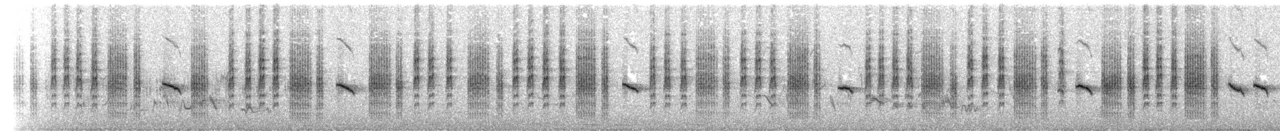 Sedge Warbler - ML203889031