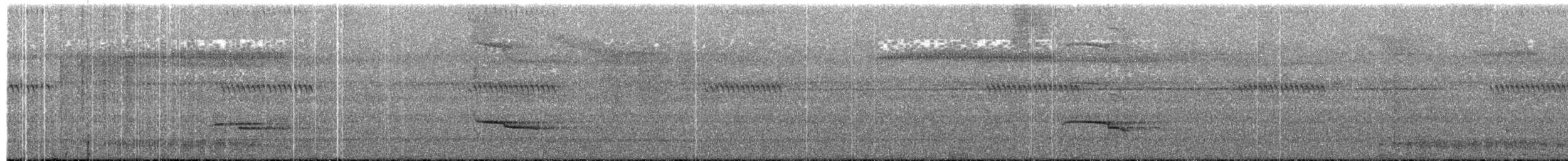 Серогрудый рогоклюв - ML203889211