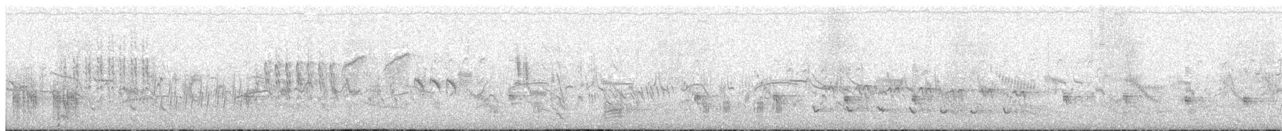 Great Reed Warbler - ML203889321