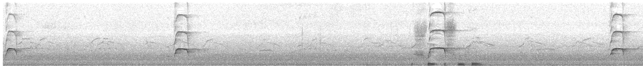 Кулик-сорока євразійський (підвид ostralegus/longipes) - ML203889961