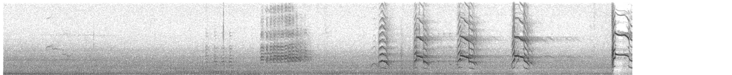 Sturmmöwe (canus) - ML203889971