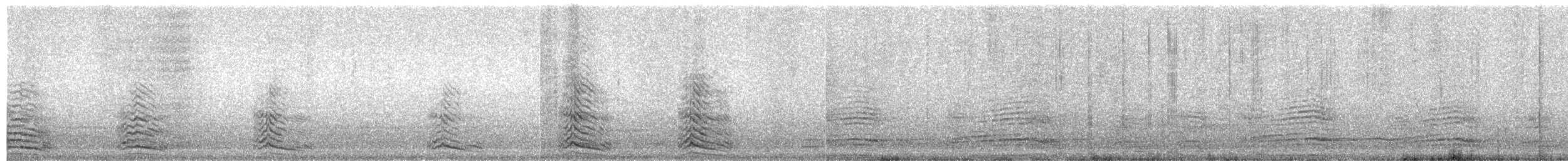 Lesser Black-backed Gull (graellsii) - ML203890101