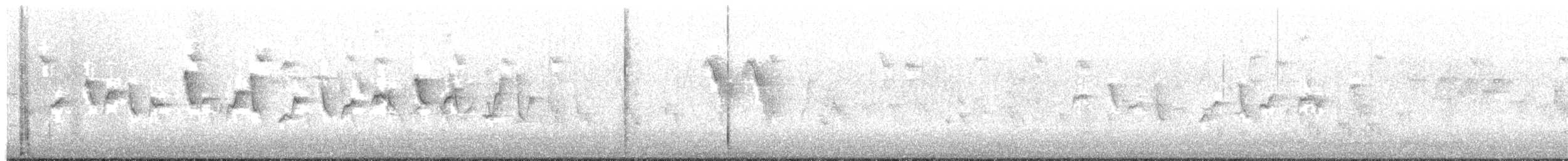 Common Chiffchaff (Siberian) - ML203890541