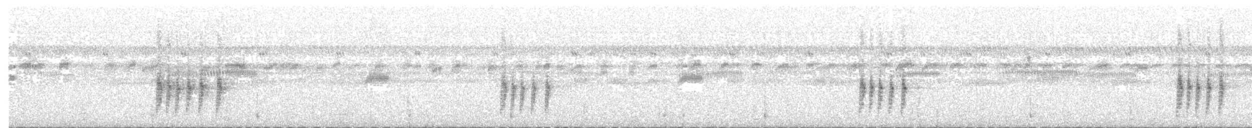 Antillennachtschwalbe - ML203890811