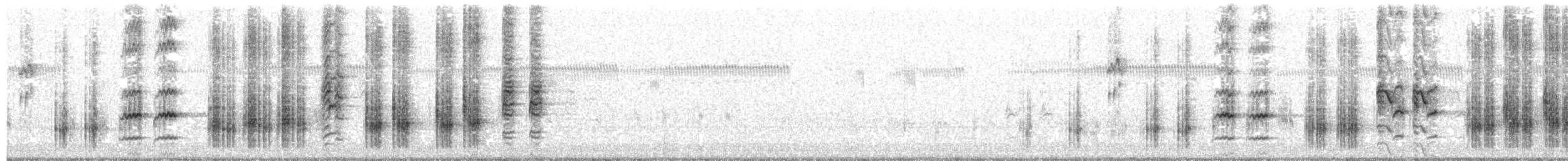 Great Reed Warbler - ML203891051