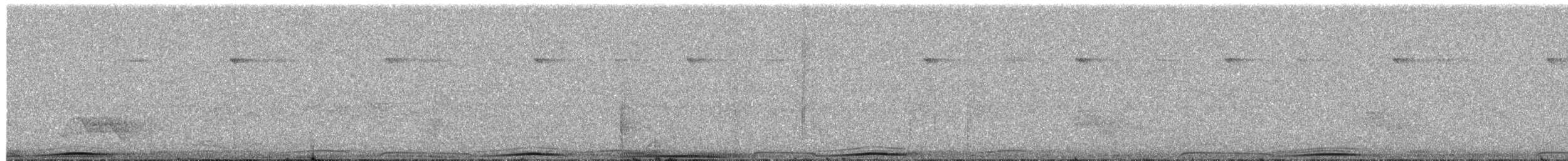 holub černošíjný - ML203891191