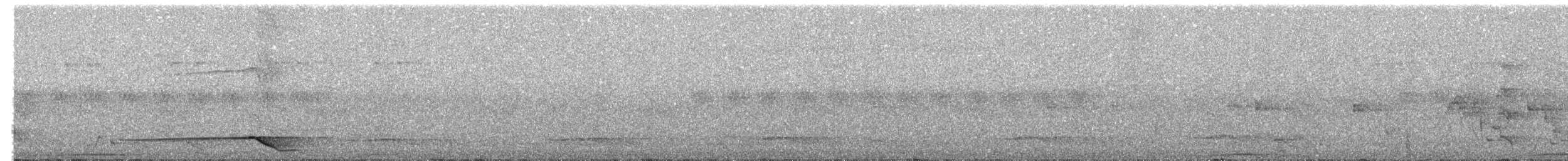 svartnakkepirol (frontalis gr.) - ML203891201