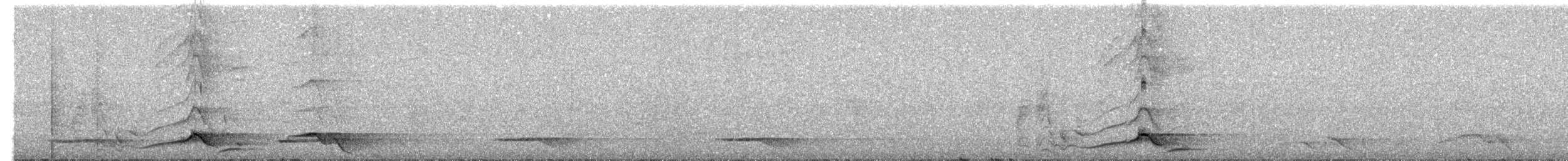 Black-naped Oriole (Sulawesi) - ML203891211