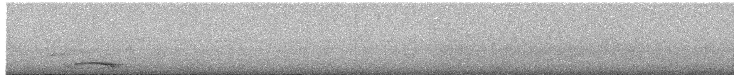 svartnakkepirol (frontalis gr.) - ML203891221
