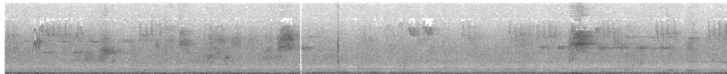 White Wagtail (White-faced) - ML203891761