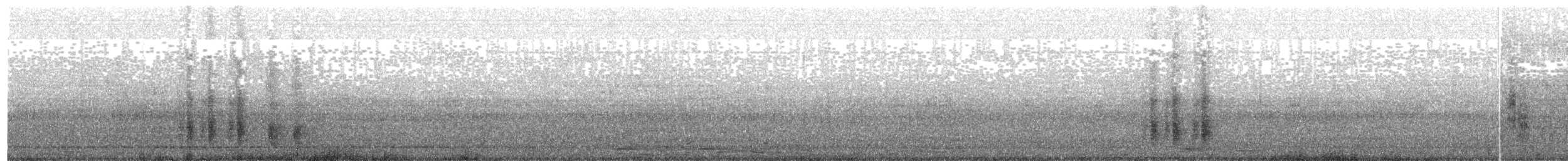 Orientelster - ML203892051
