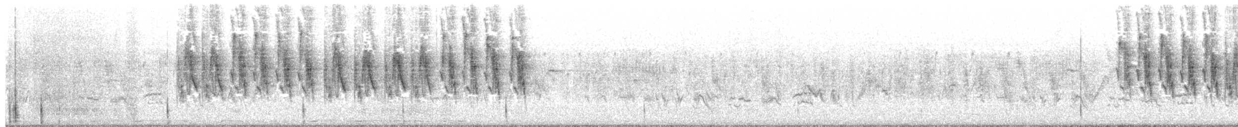 Gorrión del Mar Muerto (moabiticus) - ML203892161
