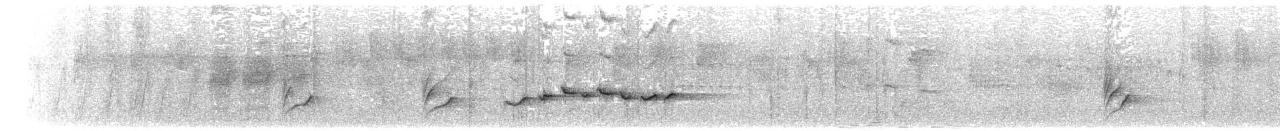 Tchitrec des Seychelles - ML203892321
