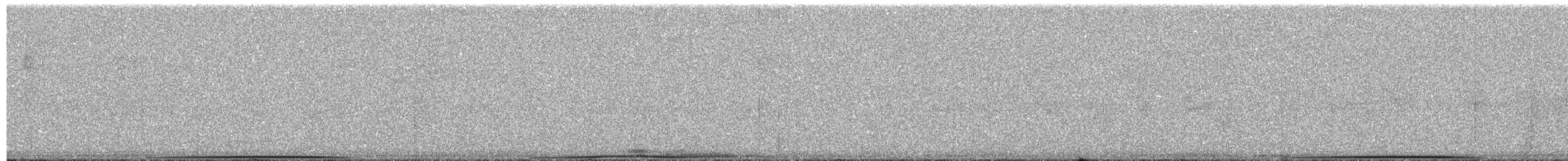 Gray Imperial-Pigeon - ML203892901