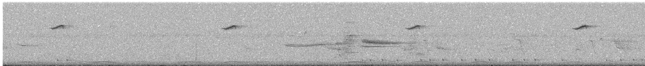 Dicée des Célèbes (groupe celebicum) - ML203892951