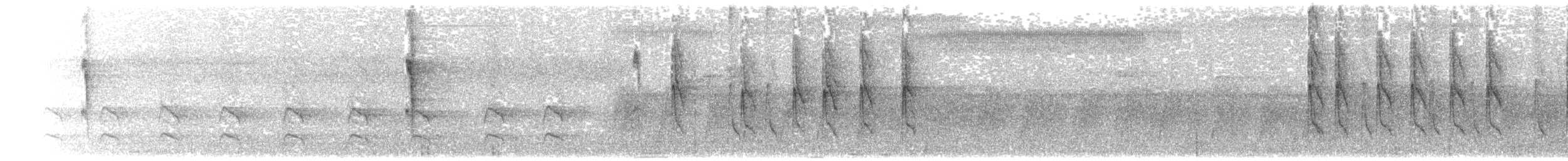 Prinia rayée (melanops/obscura) - ML203893561
