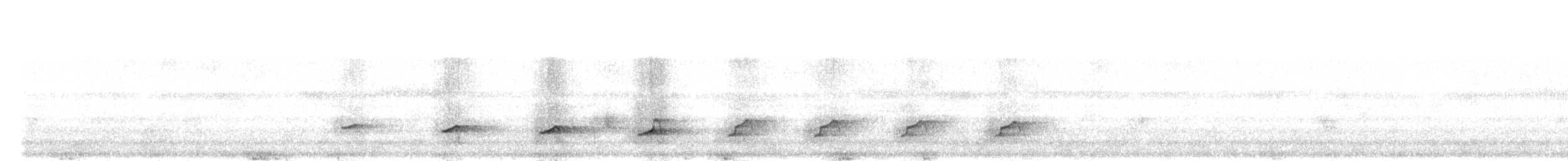 Кустарниковая кукушка (sepulcralis/everetti) - ML203893971