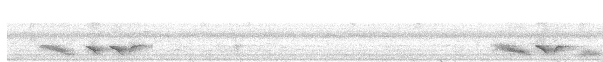 Филиппинский дронго (mirabilis) - ML203894021