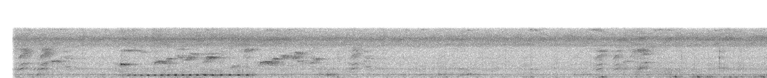 småbrundue (nigrorum) - ML203894061