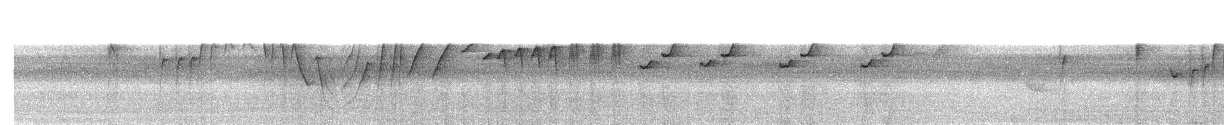 Souimanga montagnard (pulcherrima) - ML203894121