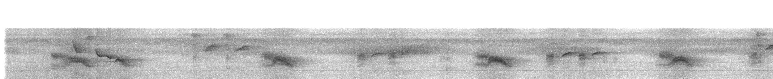 Short-tailed Drongo - ML203894191