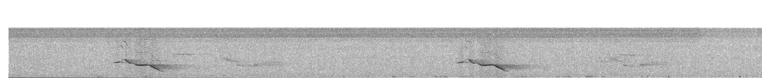 Black-naped Oriole (Philippine) - ML203894351