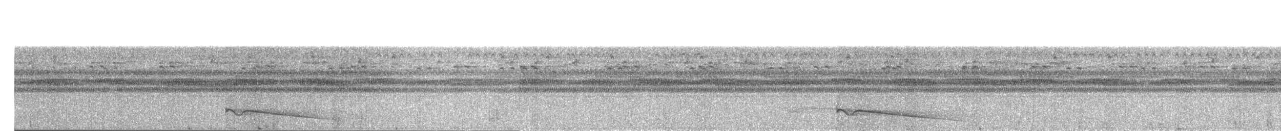 Great Eared-Nightjar - ML203894421