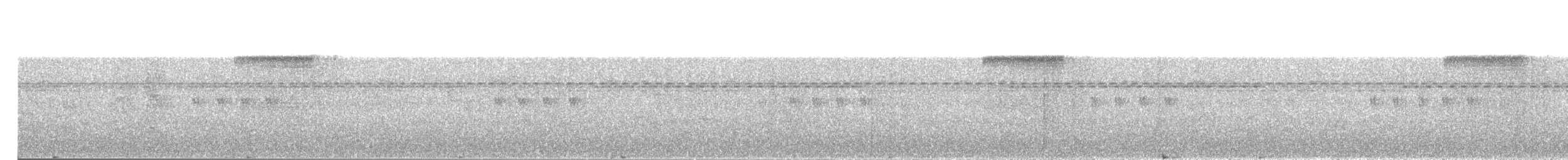 Длиннохвостая пестрогрудка - ML203894481