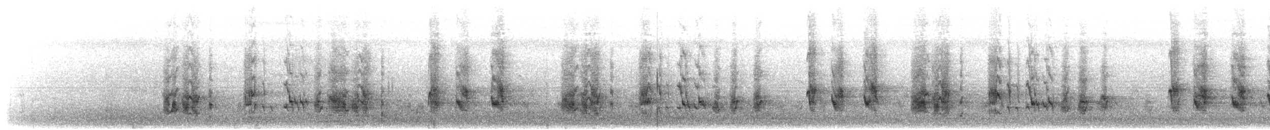 Long-tailed Shrike (schach) - ML203894771