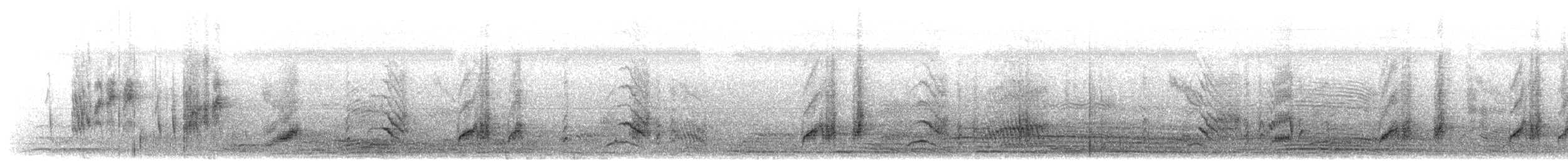 Long-tailed Shrike (schach) - ML203894781