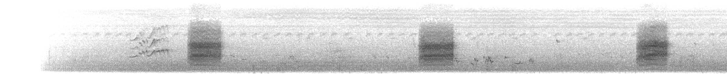 ťuhýk královský (ssp. schach) - ML203894791
