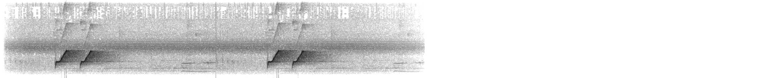 Синеспинный манакин (pareola/atlantica) - ML203894901