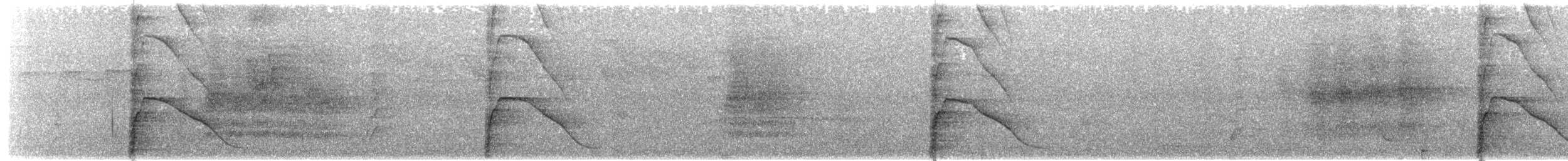 ハゲガオホウカンチョウ（fasciolata／grayi） - ML203894921
