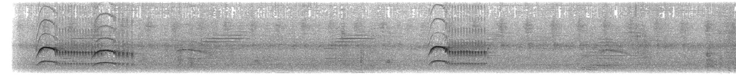 Kaya Sinekkapanı (bellicosa/pallidior) - ML203894961
