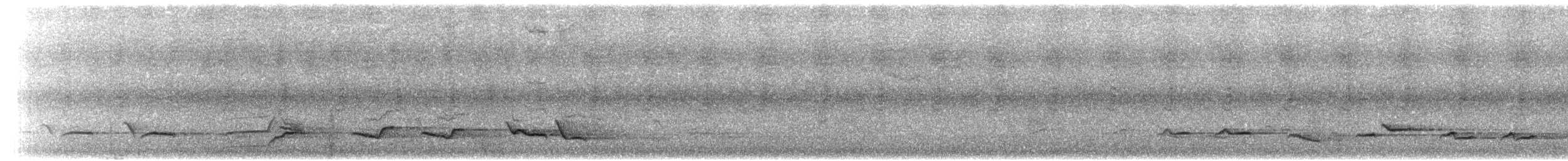 Дрізд світлогрудий - ML203895121