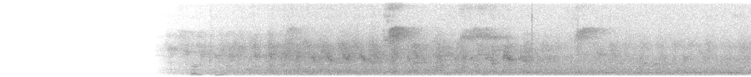 Sütbeyaz Sumru (microrhyncha) - ML203895301