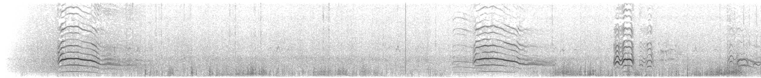 Gray-backed Tern - ML203895321