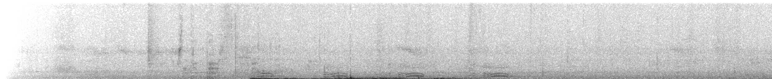 holub polynéský - ML203895651