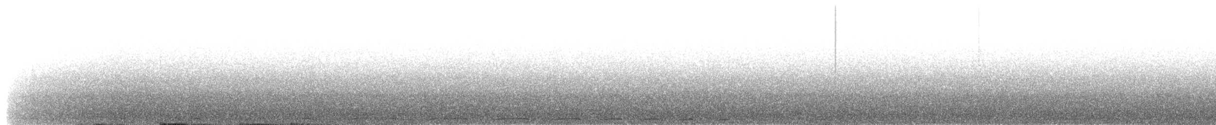 holub raiatejský - ML203895731