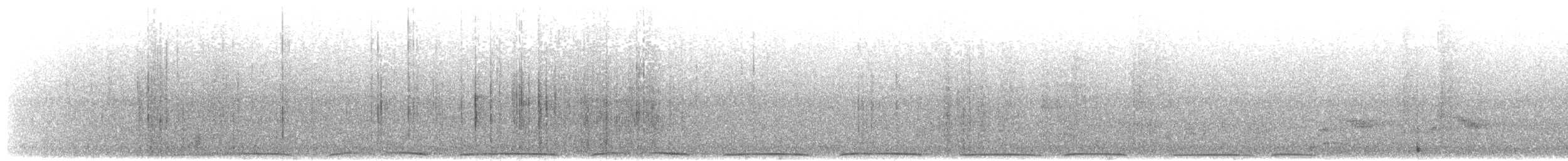 holub atolový - ML203895741