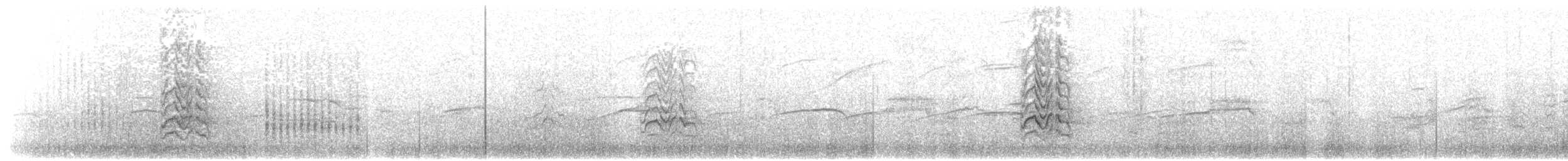 Rußseeschwalbe - ML203895801