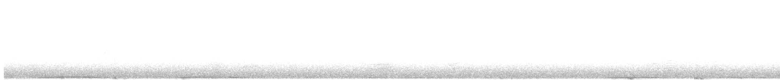 Mor Japon Güvercini - ML203895971