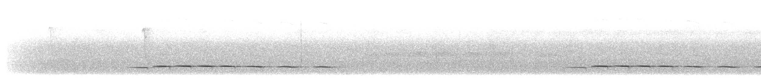 Мурашниця панамська (підвид perspicillatus) - ML203896151