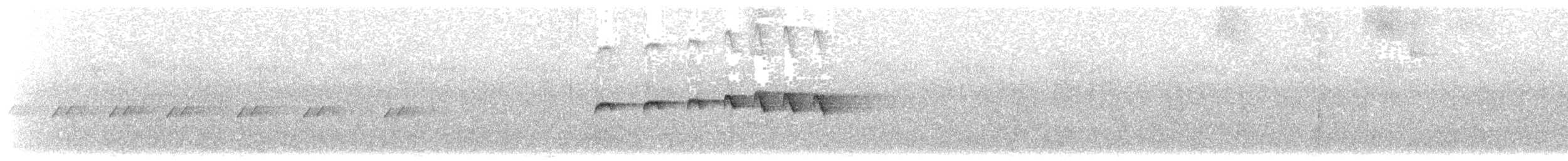 Grauscheitel-Ameisenvogel - ML203896181