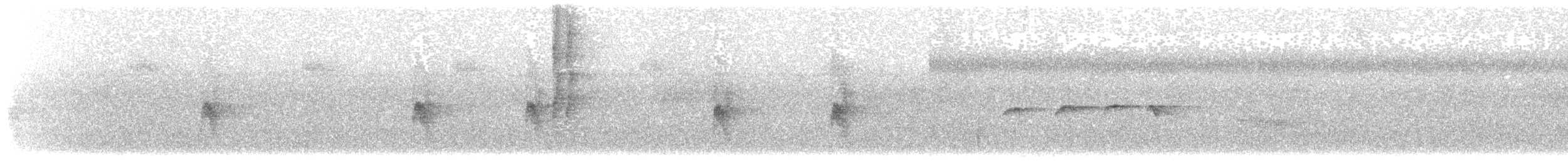 Grauscheitel-Ameisenvogel - ML203896191