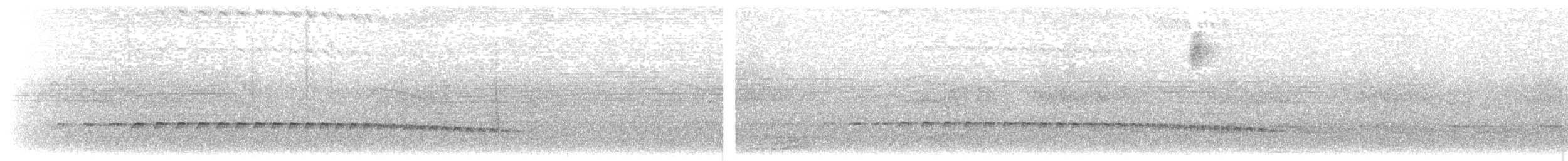 Tüpfelkronen-Ameisenvogel - ML203896271