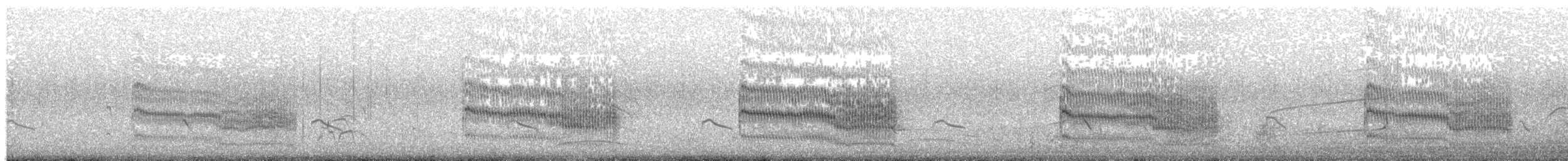 Речная крачка (longipennis) - ML203896361